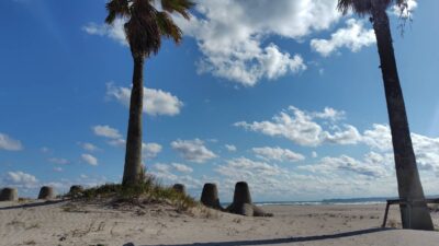 きっとこの日々を後悔する